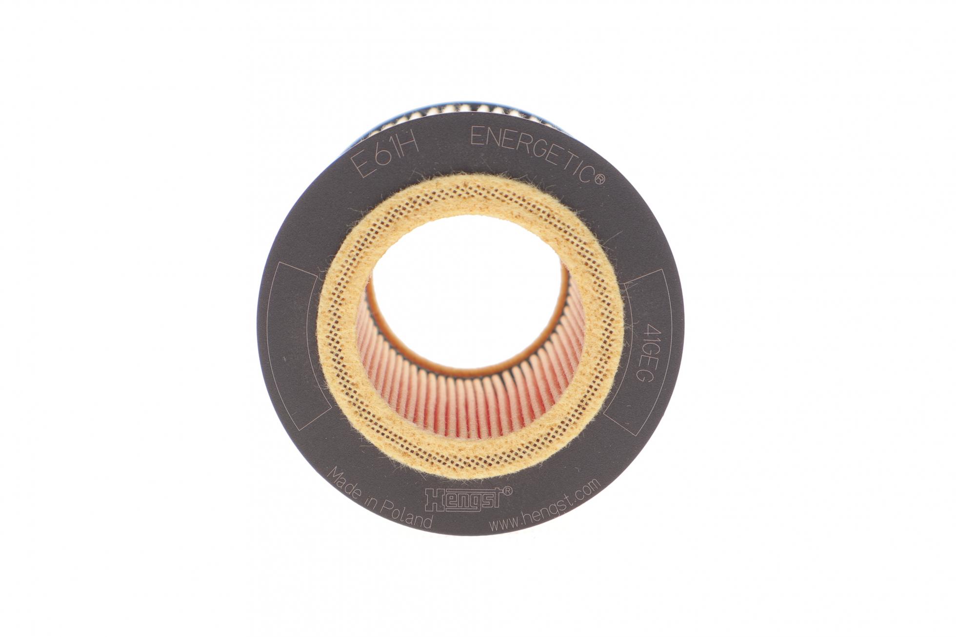 E61HD258 HENGST FILTER